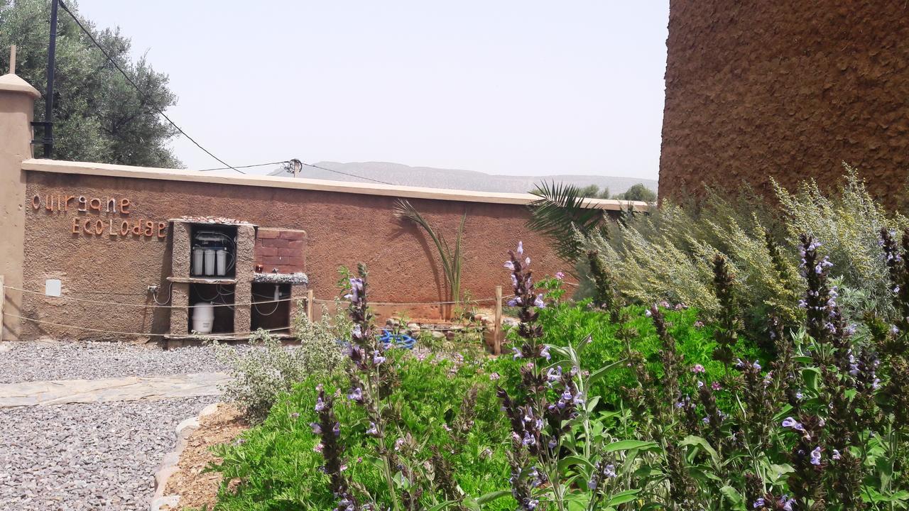 Ouirgane Ecolodge Екстер'єр фото